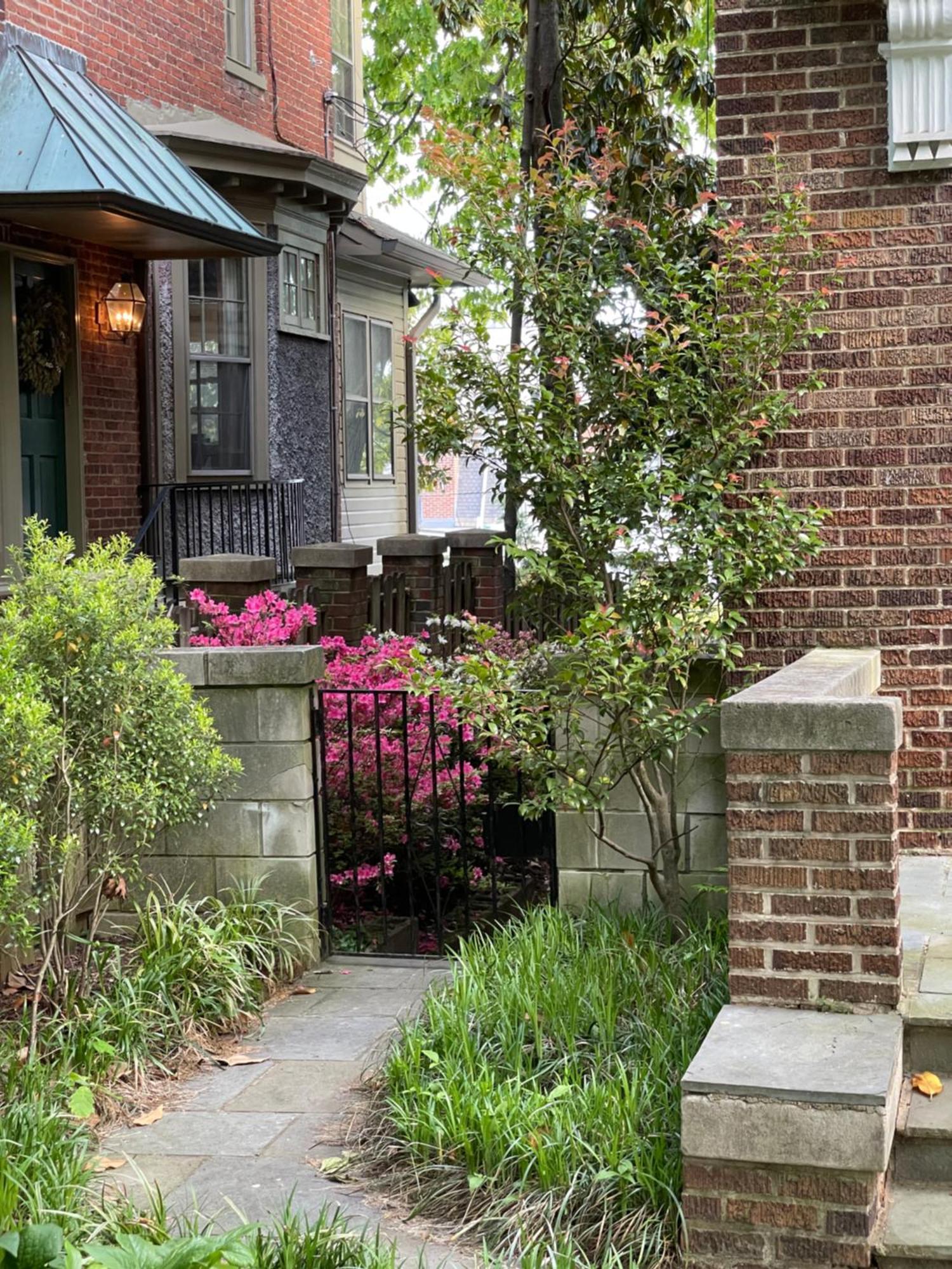 2 Bedroom By Zoo, Metro, Park And Embassies In Forest Hills - Best Location Washington Exterior foto